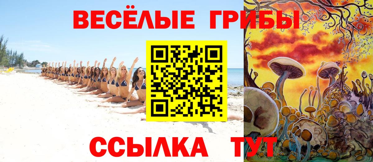 Псилоцибиновые грибы прущие грибы  Вход с VPN  Коммунар 