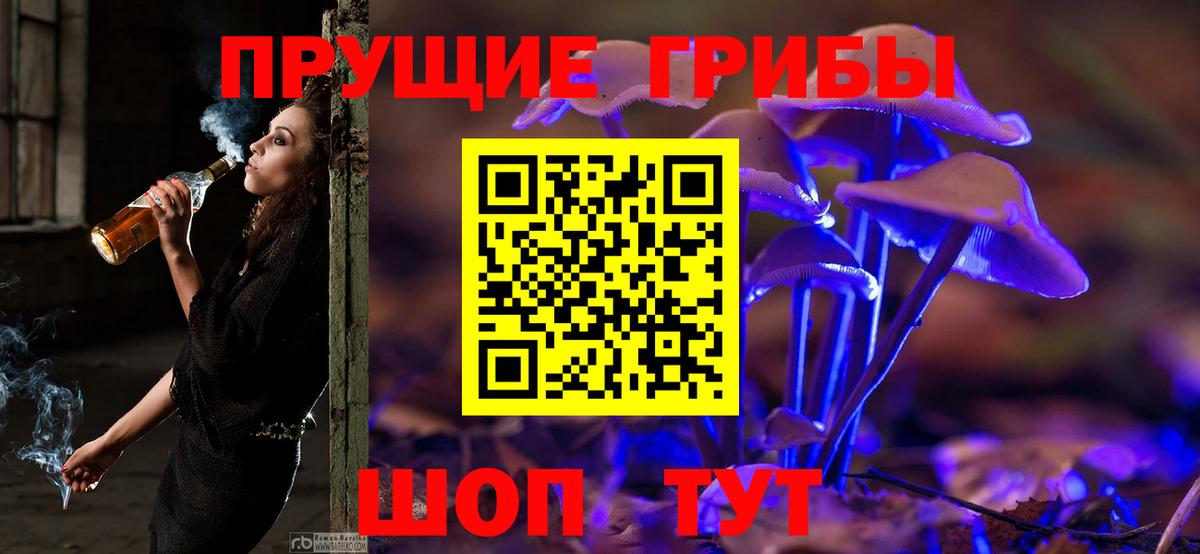 Псилоцибиновые грибы Psilocybine cubensis Коммунар